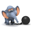 3D Convict Elephant