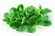 valerian leaves valerian leaves