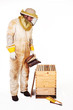 Beekeeper Smoking A Hive