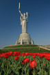 Motherland with tulips