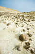 moment of old mountain,near Dead Sea, Israel