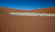Dead Vlei