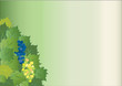 Hintergrund mit Rebstock