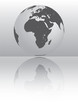 world map silver