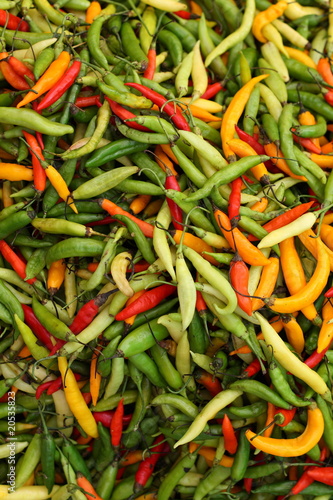 Photo: Hot peppers Hot peppers