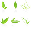 set of leaves set of leaves