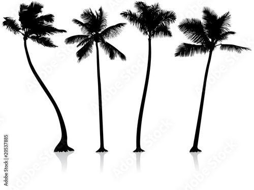 palm trees background. Zoom Not Available: Vector images scale to any size. palm trees background
