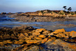 france, bretagne,22 : pointe du chevet, ebihens à marée basse france, bretagne,22 : pointe du chevet, ebihens à marée basse