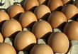 Foto: Eierkarton Eierkarton