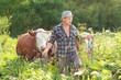 farmer and cows