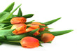 Tulpenstrauss