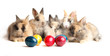 Photo: Easter Easter