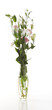 Vase Of Flowers Isolated On Wh...