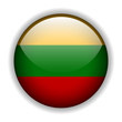 Flag of lithuania button, vector
