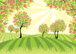 spring landscape
