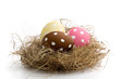 Easter egg