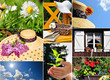 Frühling Natur Collage Hut Sonne