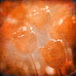 grunge floral background with space for text or image grunge floral background with space for text or image