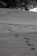Spuren im schwarzen Sand