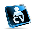 curriculum vitae button