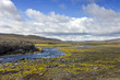 Landmannalaugar Meadow Landmannalaugar Meadow