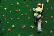 Child on a climbing wall