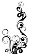 Abstract floral element for design with copy space