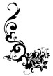 Decorative floral ornament with copy space