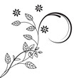 Black floral plant isolated on white background