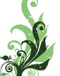Vector - Grunge abstract floral background