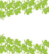 Vector - Green flowers on white background