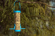 Birdfeeder on a mesquite tree