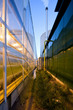 Glasshouse