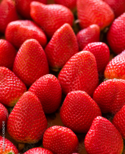Fresh Strawberries