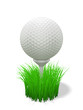 golf ball on tee - with grass