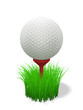 golf ball on red tee - with grass