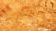 Peintures rupestres