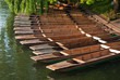 Traditional Cambridge punting boats set in row in a dock Traditional Cambridge punting boats set in row in a dock