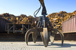 Scrap Heap Claw