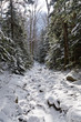 A snow-covered mountain trail in winter in a vertical