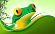 Illustration of a frog looking from bushes Illustration of a frog looking from bushes
