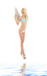 blue lingerie angel