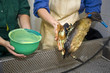 Cleaning an oil bird