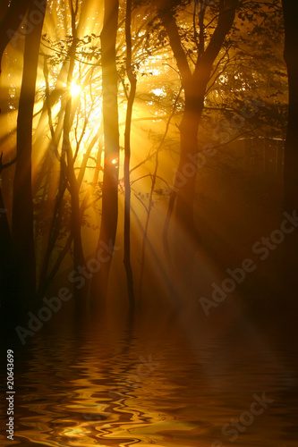 Foto: alba 3 alba 3
