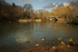 Central Park