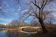 Bow Bridge