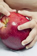 Closeup of baby's hands holding apple