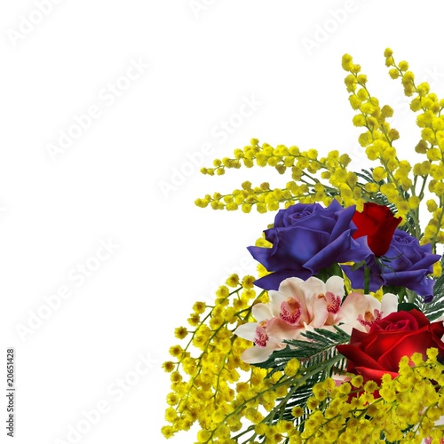 Illustrazione: Mazzo di Mimosa con rose Mazzo di Mimosa con rose