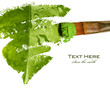 Photo en ligne au meilleur prix painting leaf with brush