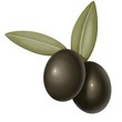 2 olive nere